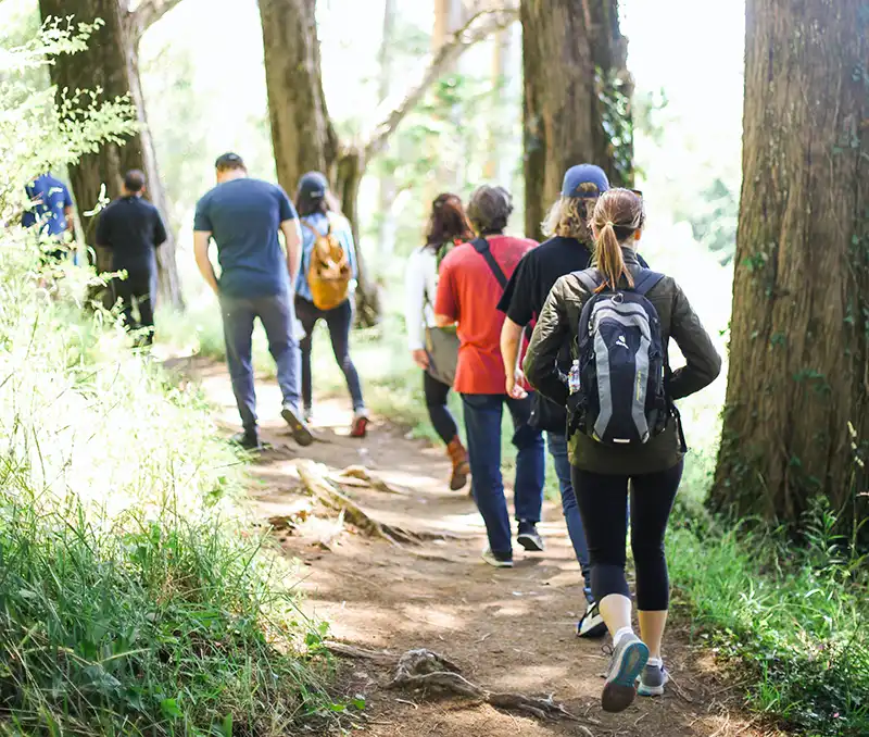Hiking