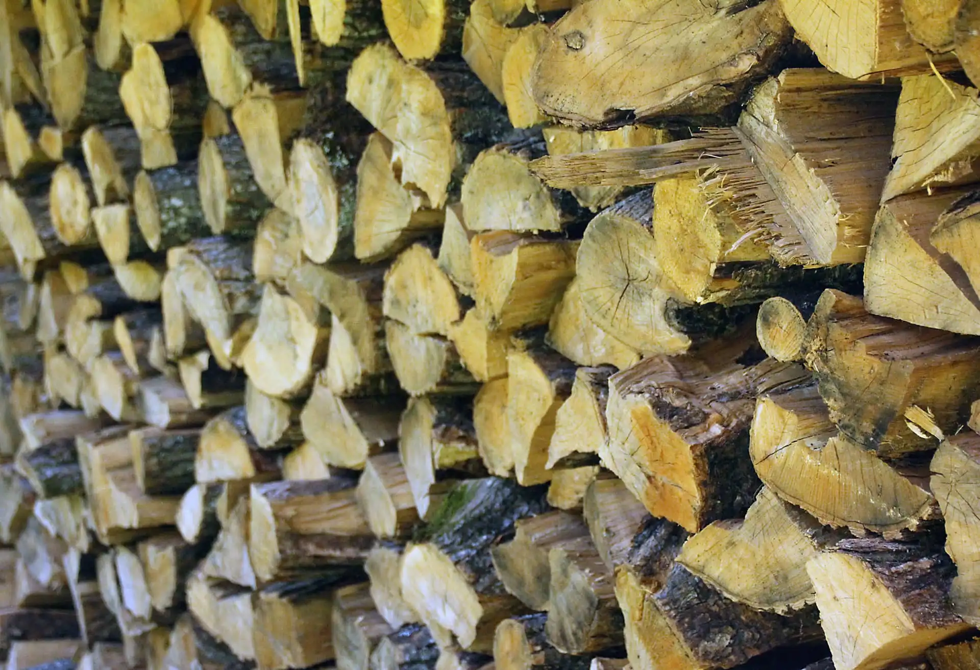 Firewood