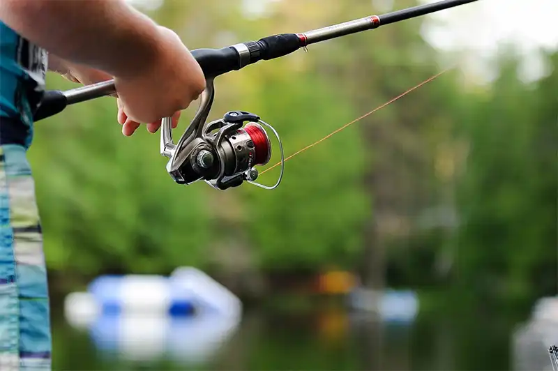 Rod and Reel